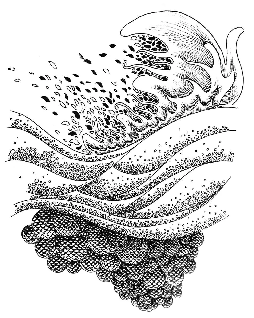 #Bloomproject — illustration végétale imaginaire