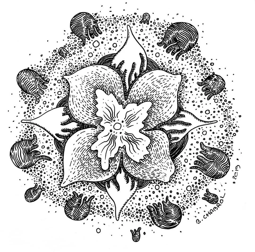 #Bloomproject — illustration végétale imaginaire