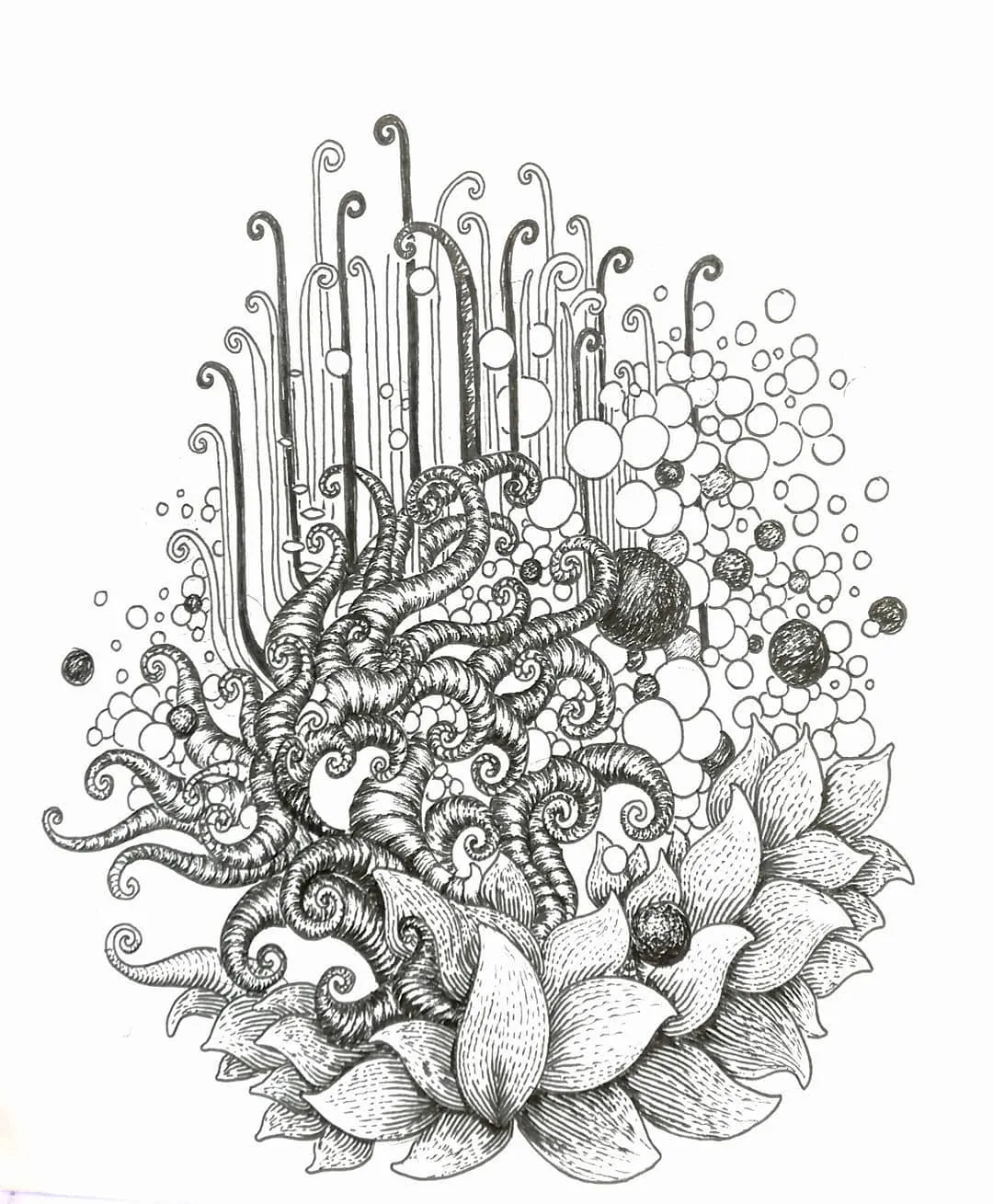 #Bloomproject — illustration végétale imaginaire