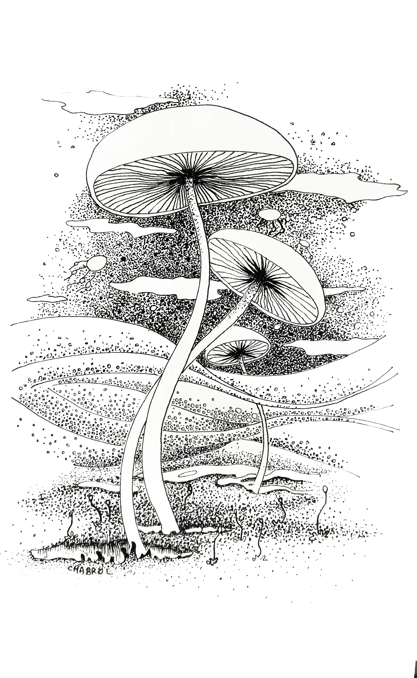 Dessin au trait vue macro de champignon transperçant un ciel de vagues